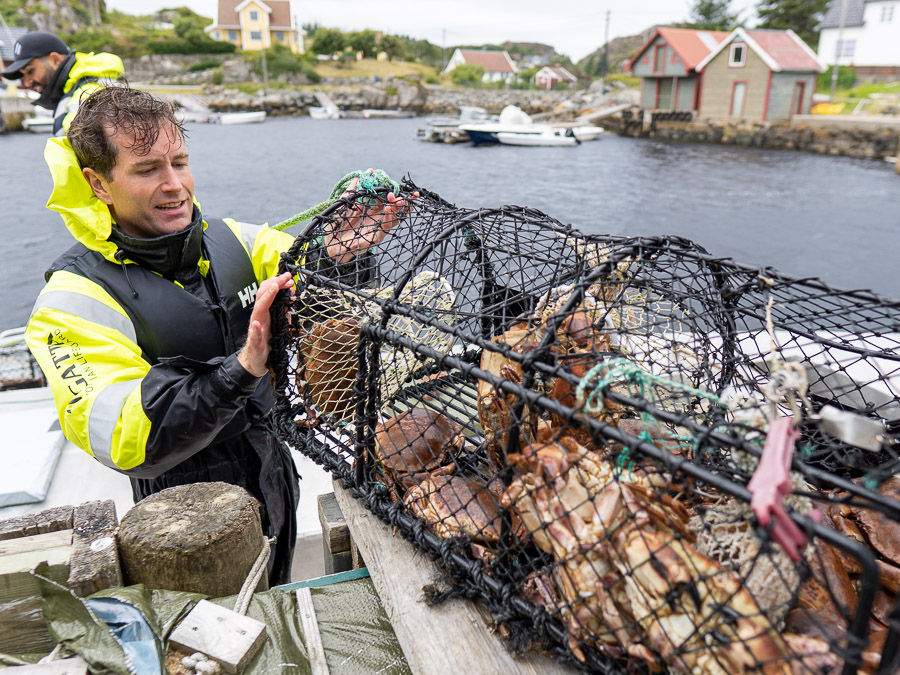 Evoy social fun activity crabbing