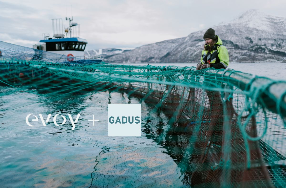 Gadus Group goes electric with Evoy boat motor systems